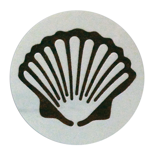 Muschel